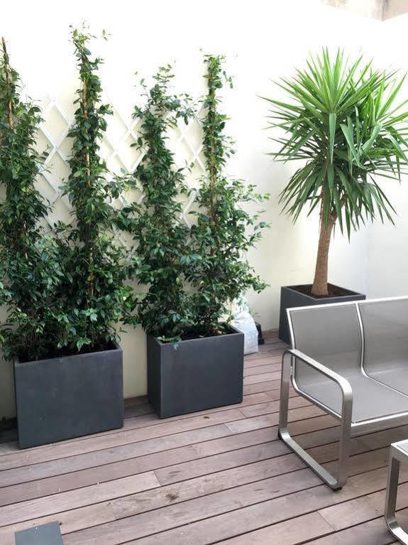 Appartements Urban Et Pure Канни Екстер'єр фото